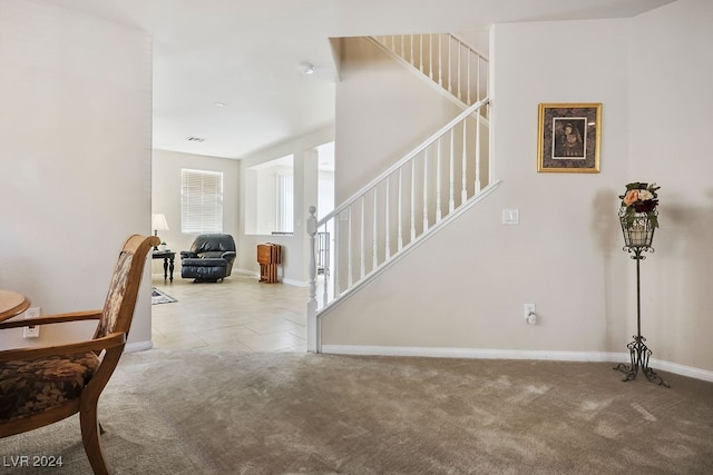 stairway with carpet flooring