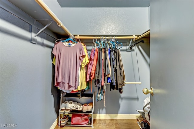 walk in closet featuring hardwood / wood-style flooring