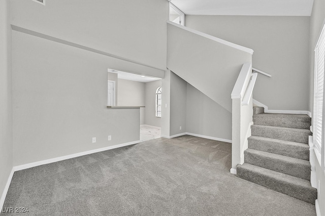 basement with carpet floors