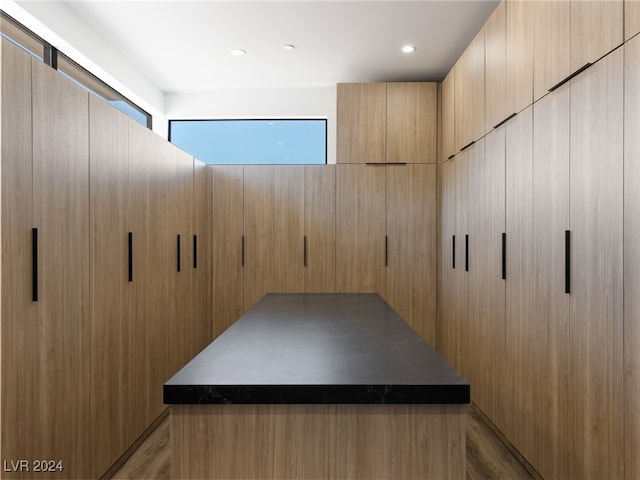 interior space featuring light hardwood / wood-style flooring