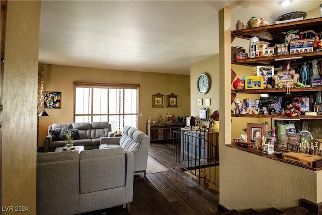 living room with dark hardwood / wood-style flooring