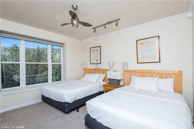 bedroom featuring carpet floors, ceiling fan, multiple windows, and rail lighting