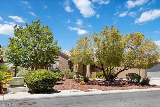 1629 Black Fox Canyon Rd, Henderson, NV 89052 - view of property hidden behind natural elements with stucco siding and a garage