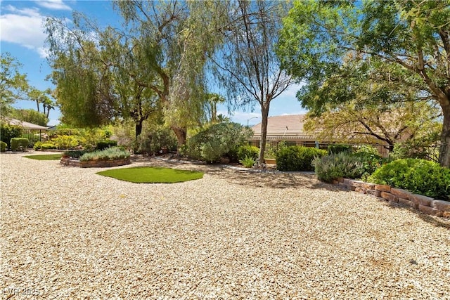 1629 Black Fox Canyon Rd, Henderson, NV 89052 - view of yard