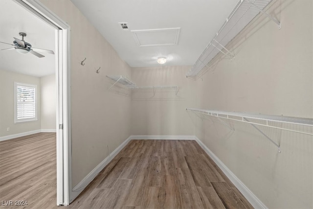 spacious closet featuring wood-type flooring and ceiling fan