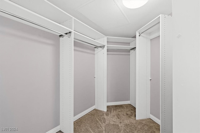 spacious closet with light colored carpet