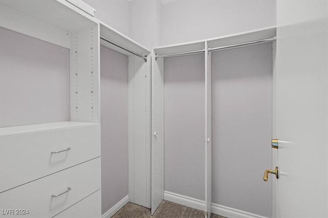 spacious closet with carpet flooring