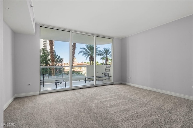 view of carpeted spare room