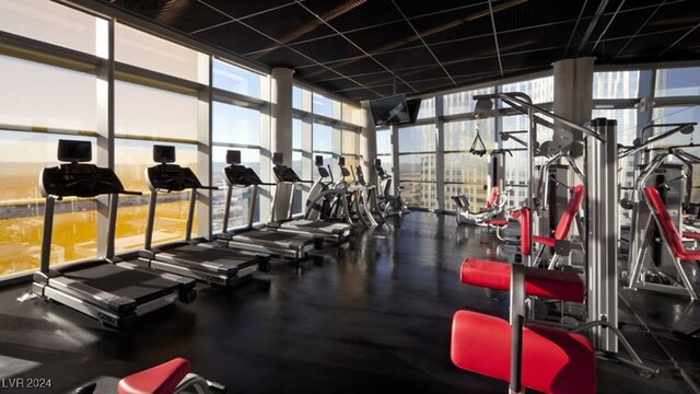 exercise room featuring a drop ceiling, plenty of natural light, and floor to ceiling windows