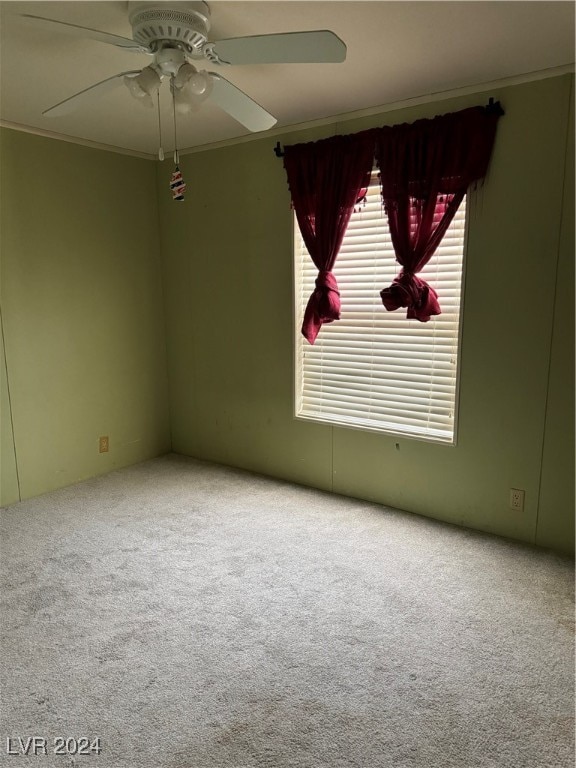 carpeted empty room featuring ceiling fan and ornamental molding