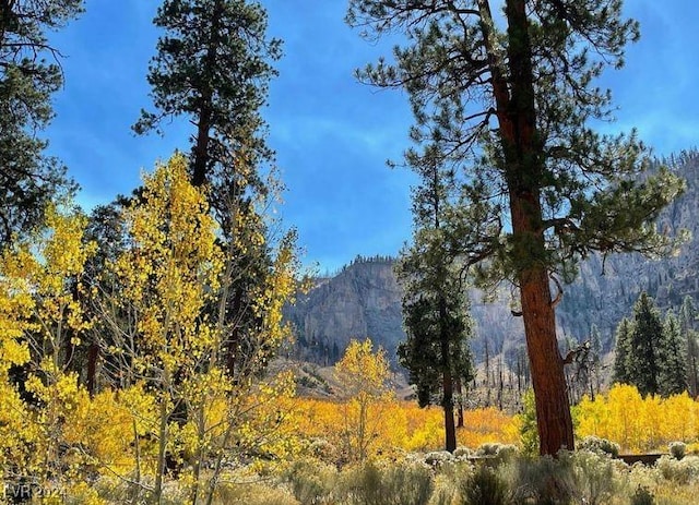 view of mountain feature with a view of trees