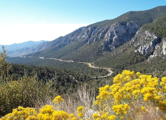 mountain view featuring a forest view