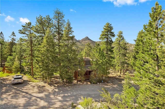 view of mountain feature featuring a wooded view