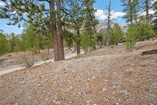 view of local wilderness with a mountain view