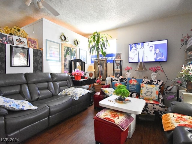 living room with ceiling fan, hardwood / wood-style flooring, and a textured ceiling