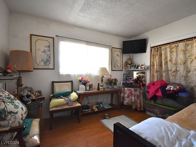 living room with a textured ceiling and hardwood / wood-style flooring