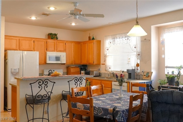 kitchen featuring ceiling fan, a wealth of natural light, sink, and white appliances