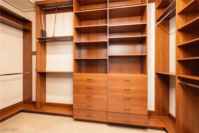 spacious closet with light colored carpet