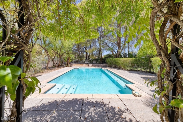 view of swimming pool featuring a patio area