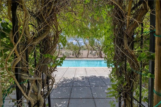 view of swimming pool with a patio area