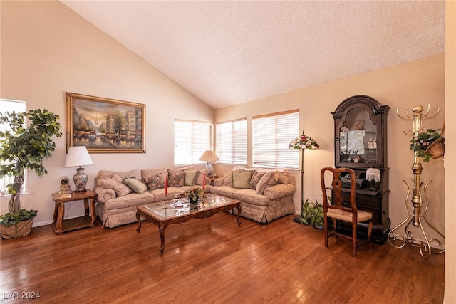 1834 Escondido Ter, Henderson, NV 89074 - living room with high vaulted ceiling, a textured ceiling, and wood finished floors