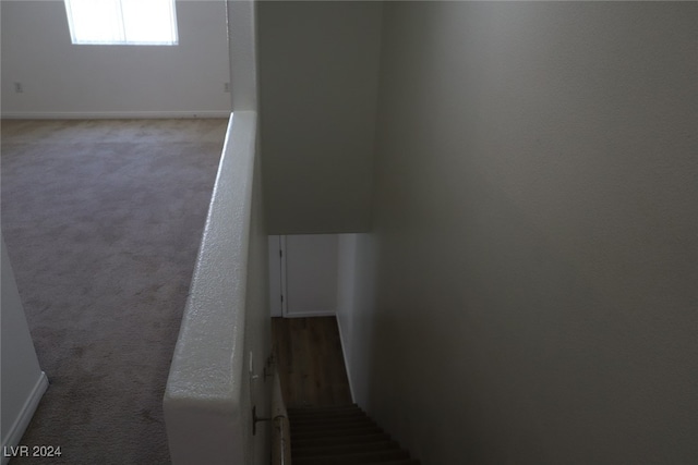 stairs featuring carpet