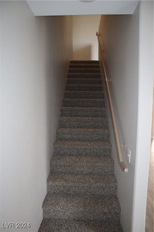 stairway featuring carpet flooring