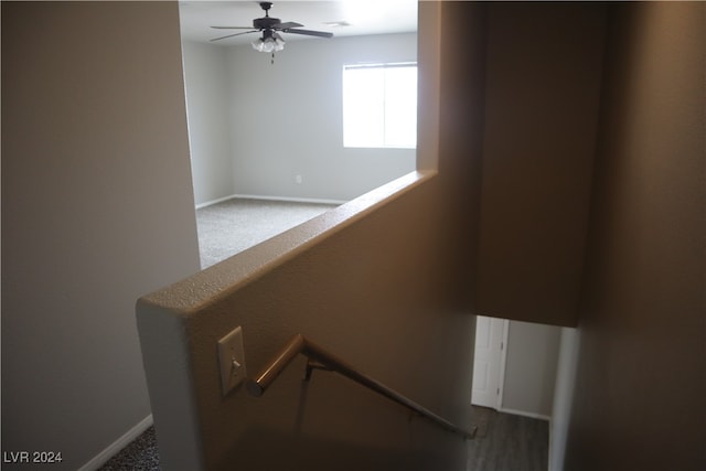 staircase featuring carpet flooring and ceiling fan