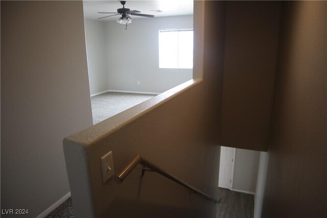 200 Mount Charleston Dr, Pahrump, NV 89048 - photo 42