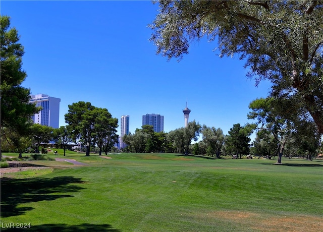 view of community with a city view and a yard