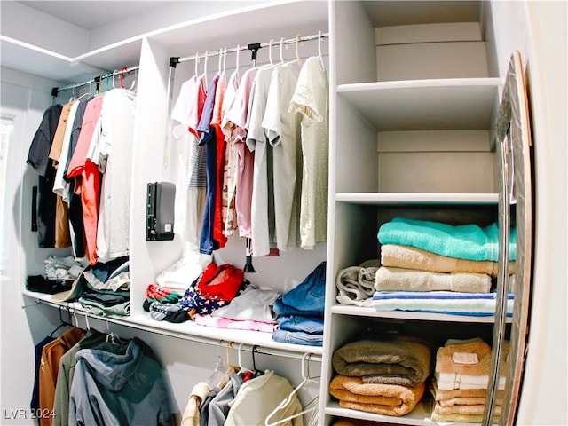 view of spacious closet