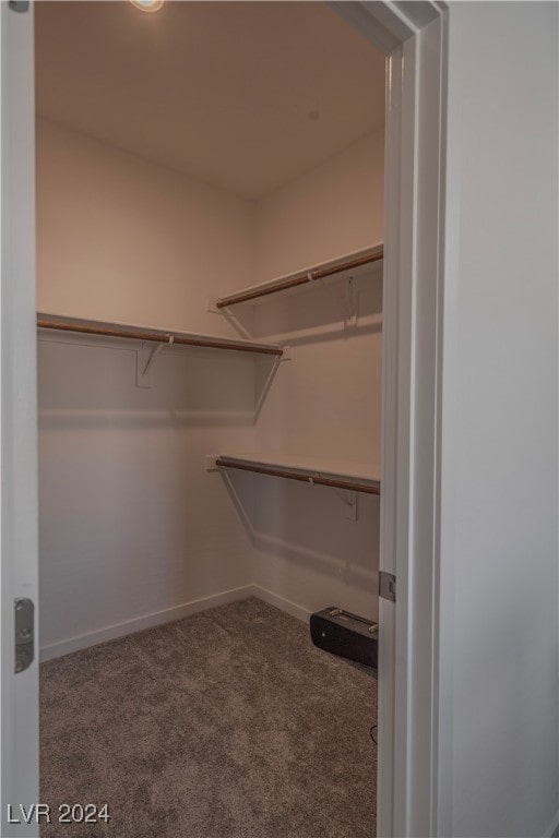 walk in closet with carpet