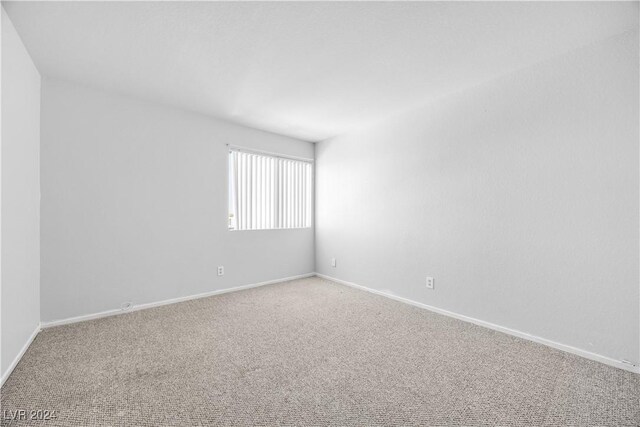 spare room with carpet floors