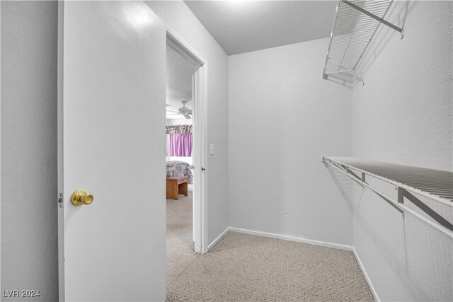 walk in closet featuring ceiling fan and light colored carpet