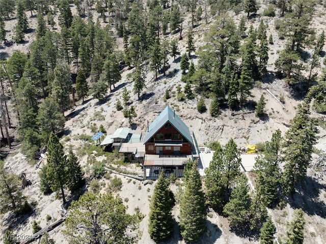 bird's eye view