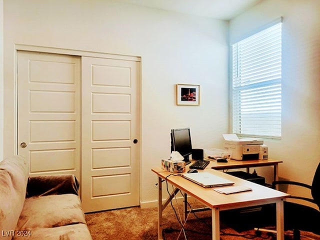 view of carpeted home office