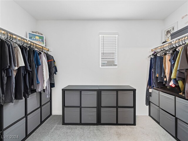 spacious closet featuring light colored carpet