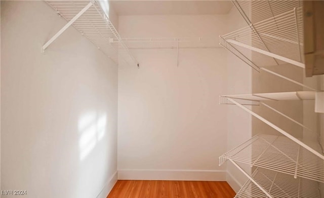 spacious closet featuring hardwood / wood-style floors