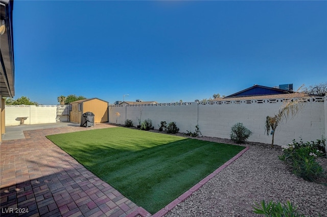 view of yard featuring a patio area and a shed