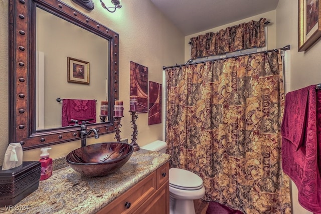 bathroom featuring vanity, curtained shower, and toilet