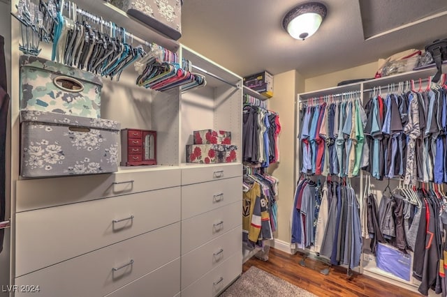 walk in closet featuring wood finished floors