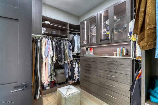 spacious closet featuring light hardwood / wood-style flooring