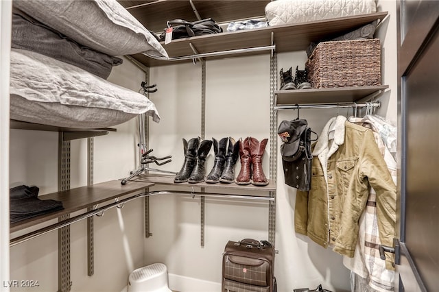 view of spacious closet