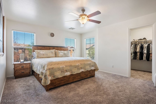 bedroom with carpet, a walk in closet, a closet, and ceiling fan