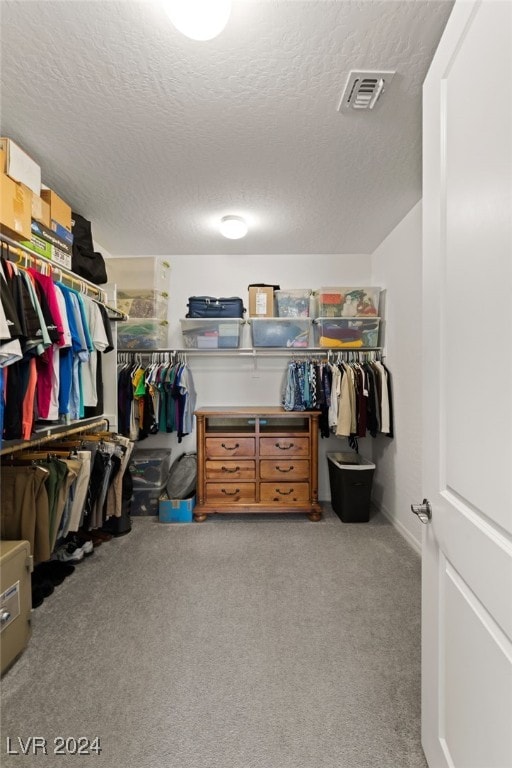 spacious closet featuring light colored carpet