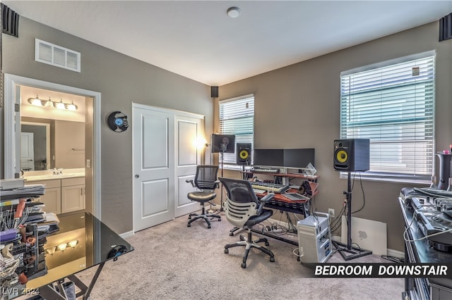 office with sink and light carpet