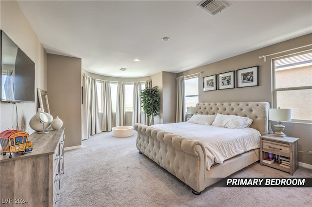 carpeted bedroom with multiple windows