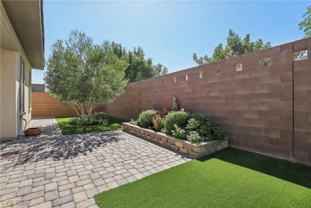 view of yard featuring a patio area