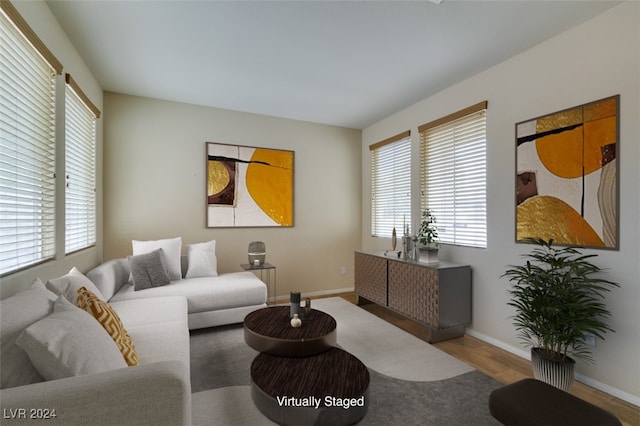 living room featuring hardwood / wood-style flooring