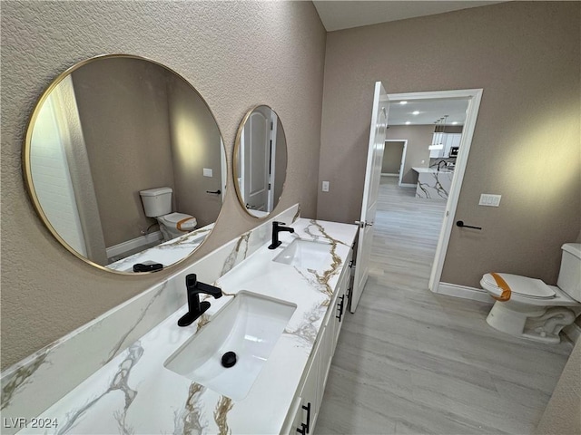 bathroom with hardwood / wood-style floors, vanity, and toilet